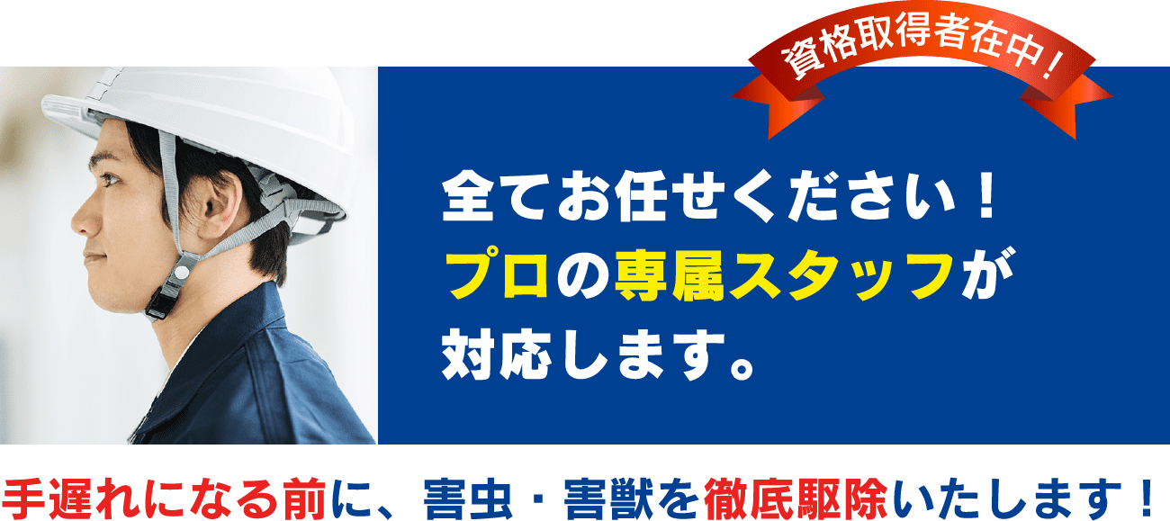 全てお任せください！プロの専属スタッフが対応します。